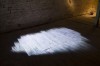 A fleur de peau - Installation par Thomas Daveluy - Juin 2014