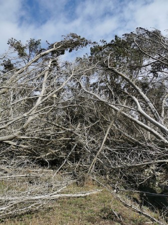 Visite du Dourven ravagé par la tempête en septembre 2024