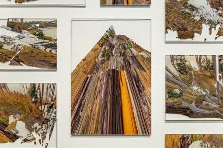 « Herbier », zoom sur les impressions