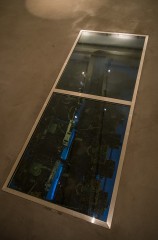 Les oiseaux, variation #1 - par Thomas Daveluy