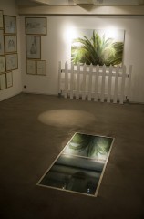 Les oiseaux, variation #1 - par Thomas Daveluy