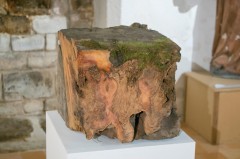 _IGP7167.jpg